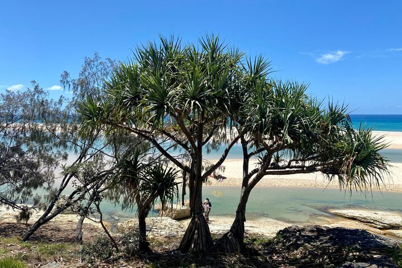 Tour avventura nella fauna selvatica di North Stradbroke Island da Brisbane — 5