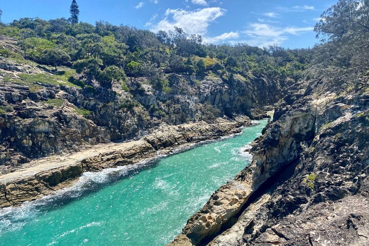 Tour avventura nella fauna selvatica di North Stradbroke Island da Brisbane — 9