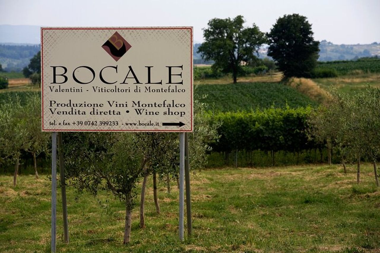 Visita Guidata in Cantina con Degustazione Privata a Montefalco — 5