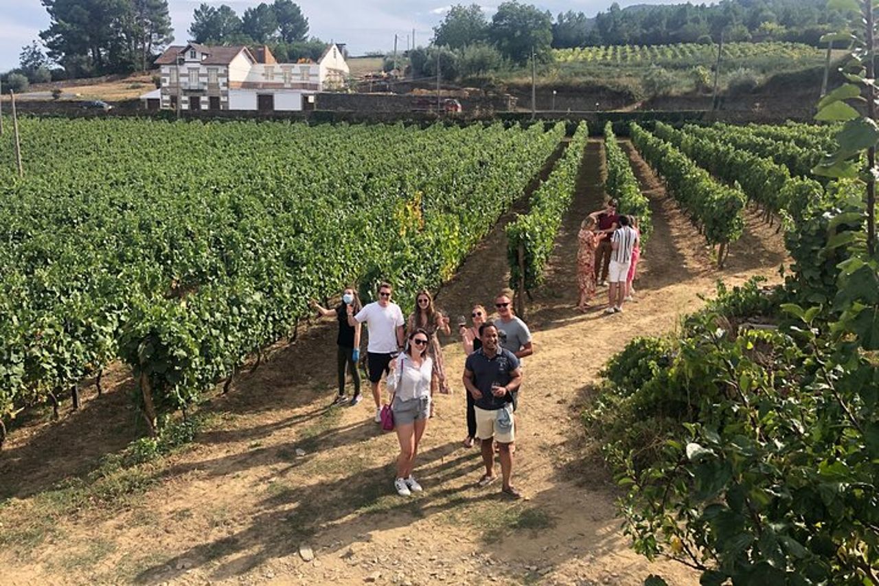Tour premium per piccoli gruppi della Valle del Douro, degustazione di vini, pranzo e barca — 5