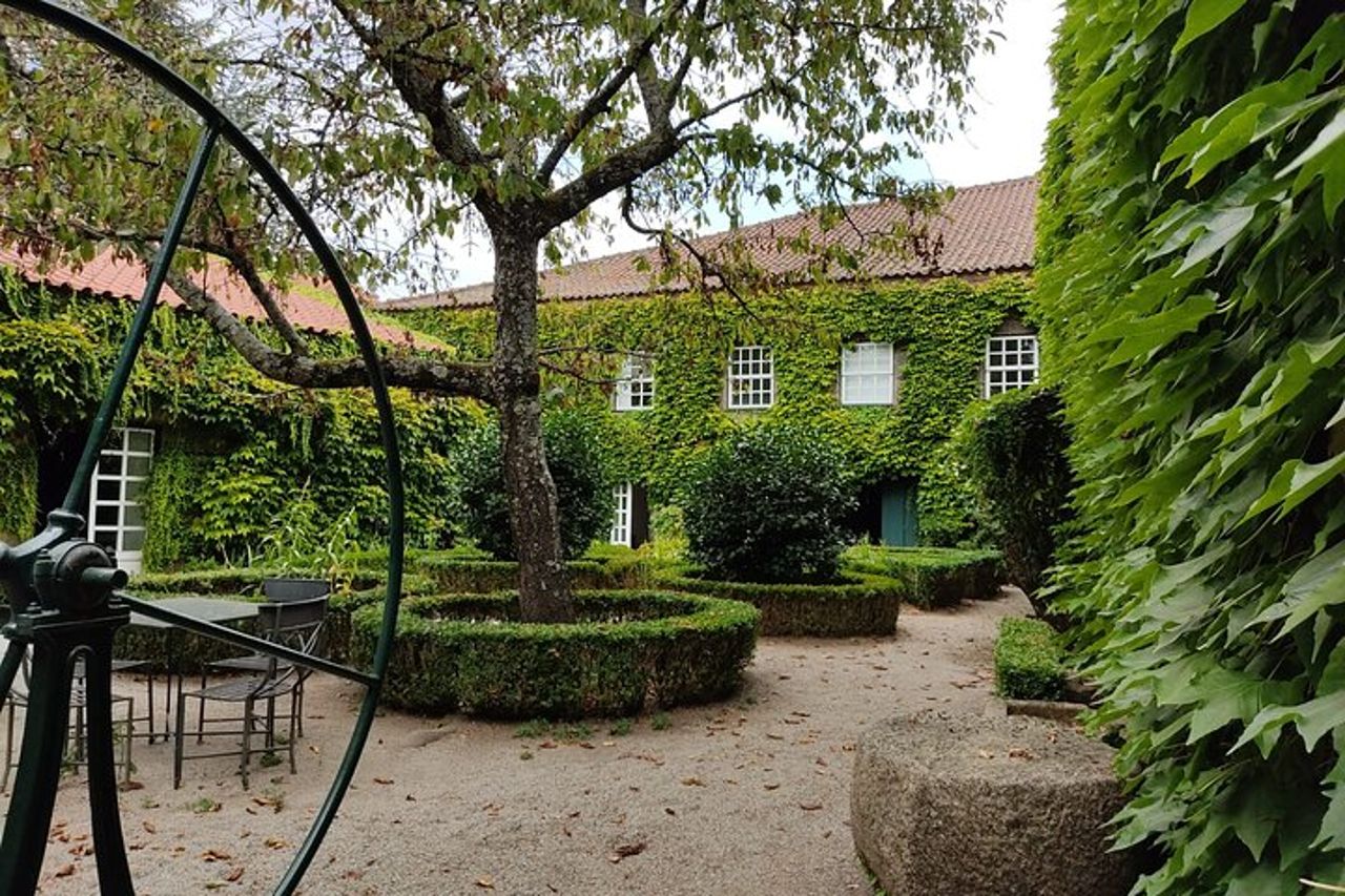 Tour premium per piccoli gruppi della Valle del Douro, degustazione di vini, pranzo e barca — 6