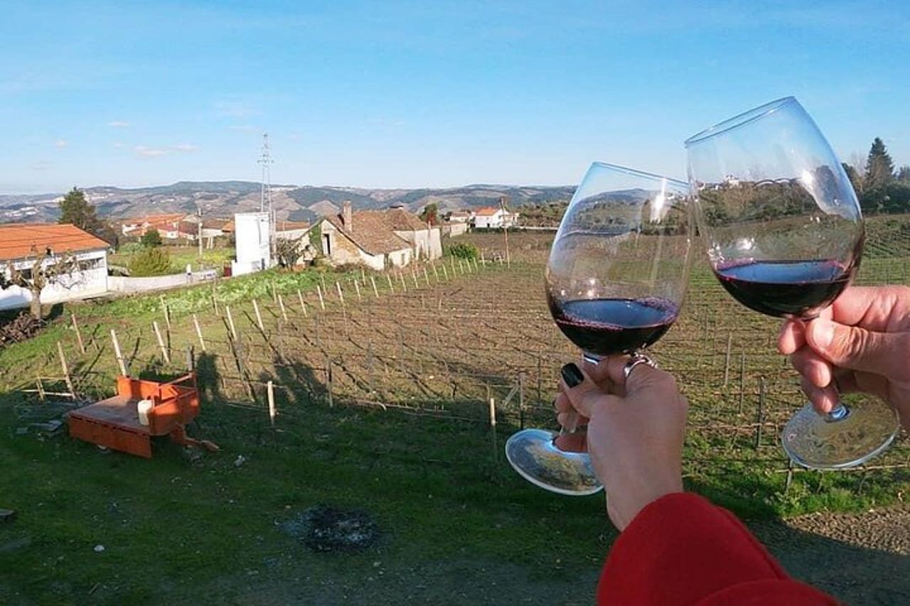 Tour premium per piccoli gruppi della Valle del Douro, degustazione di vini, pranzo e barca — 9