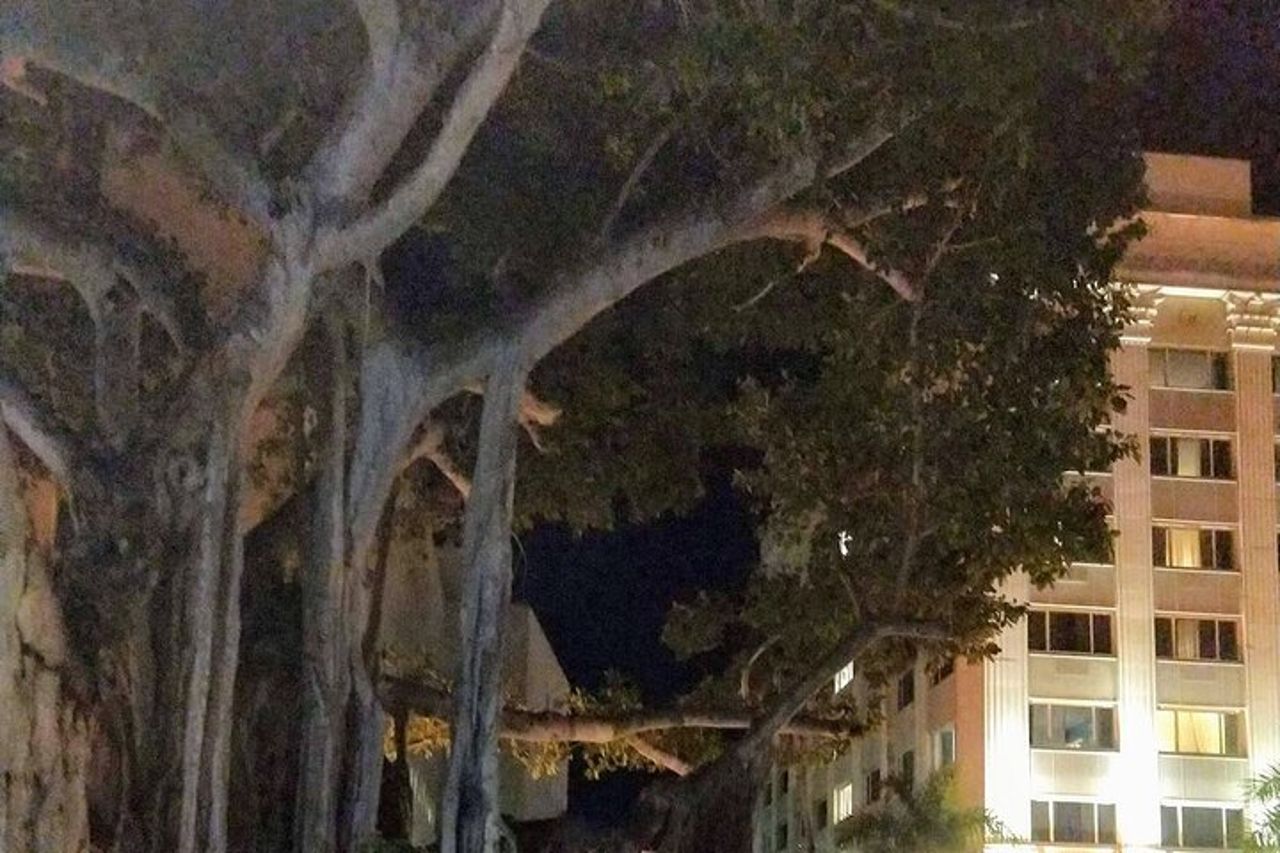 Tour a piedi nella storia infestata di Fort Myers — 6