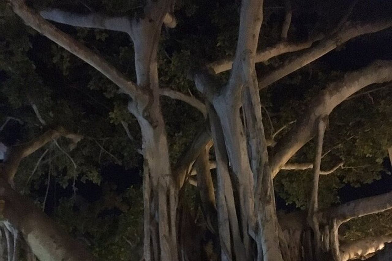 Tour a piedi nella storia infestata di Fort Myers — 7