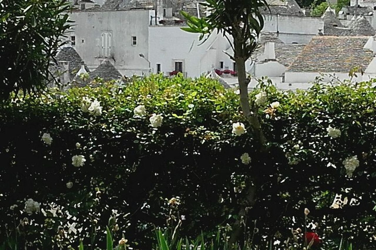 Tour di un giorno di Ostuni, Martina Franca, Alberobello da Bari — 3