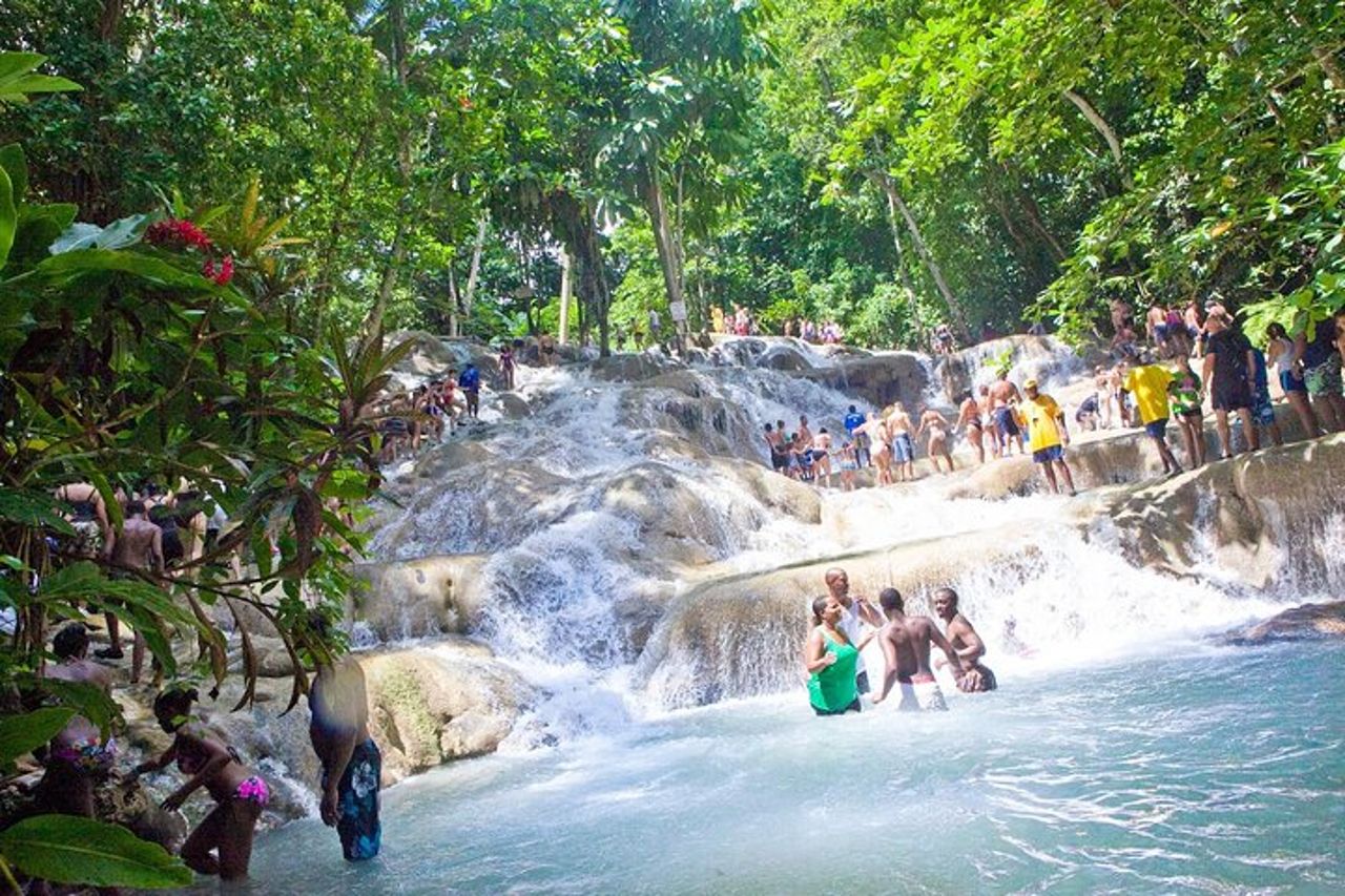 Tour guidato di Zipline Canopy e Dunn's River Falls con ingresso da Falmouth — 5