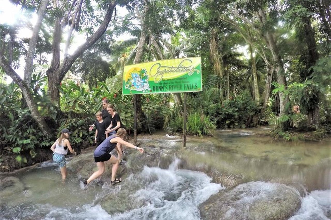 Tour guidato di Zipline Canopy e Dunn's River Falls con ingresso da Falmouth — 4