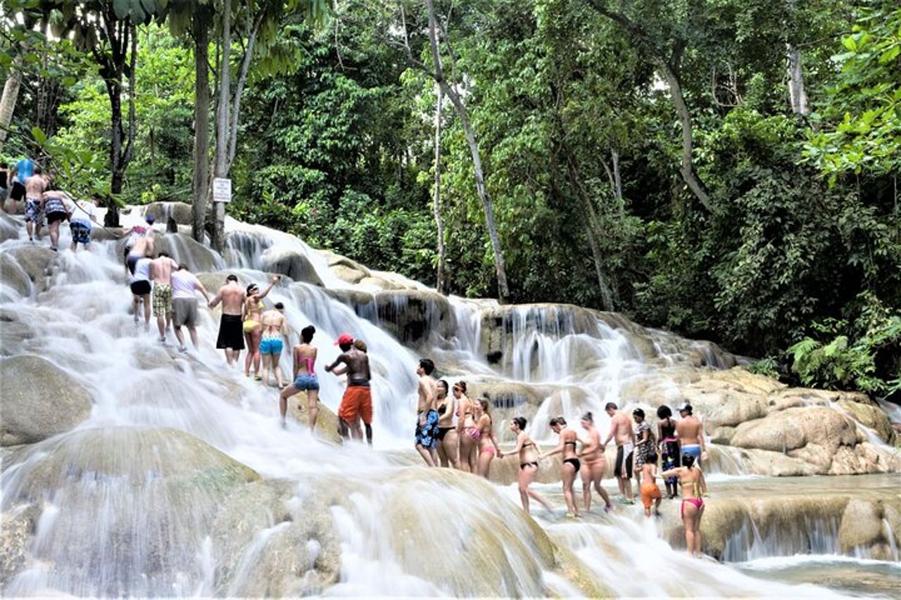 Tour guidato di Zipline Canopy e Dunn's River Falls con ingresso da Falmouth — 7