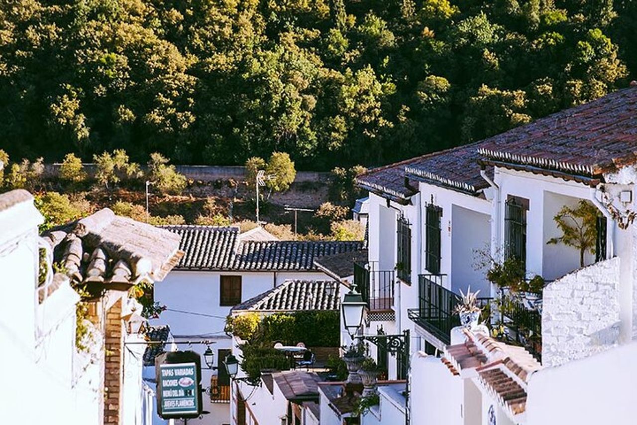 Tour Guidato a Piedi per i Quartieri di Albayzin e Sacromonte — 5