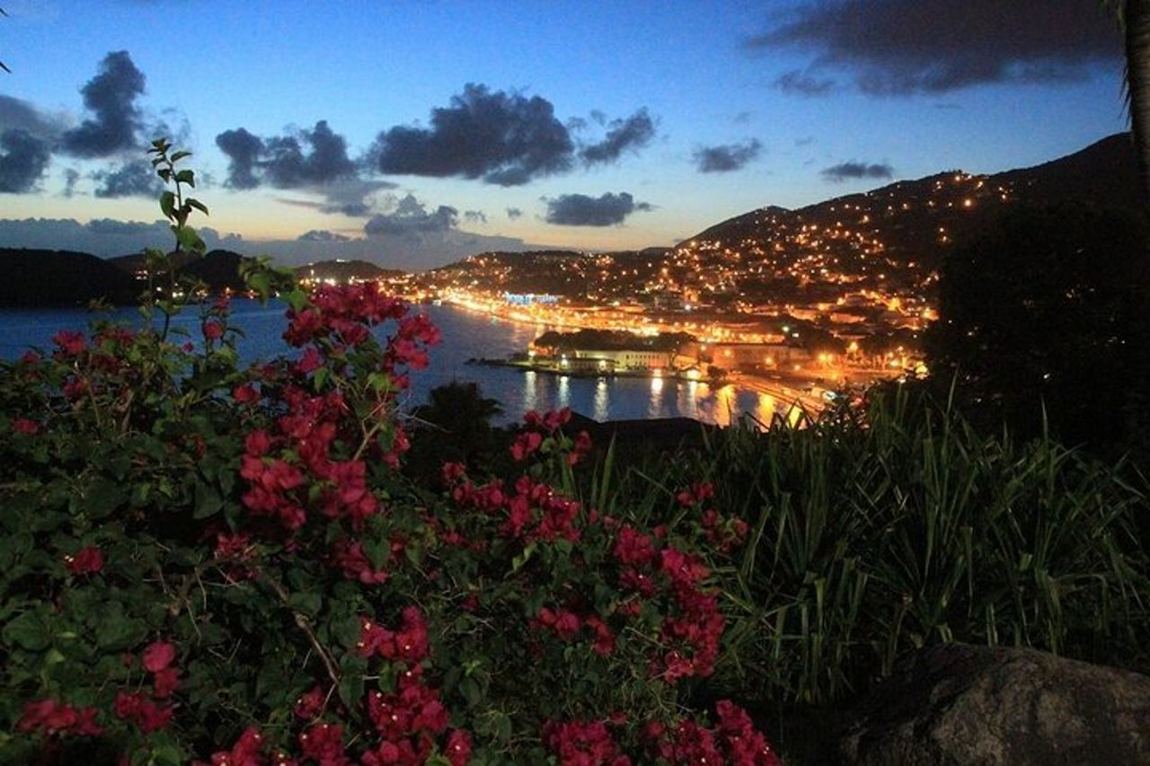 Paradise Taxi & Tours USVI Airport Trasporti Hampton by Hilton — 9