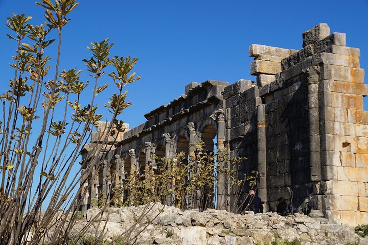 Tour storico di Meknes Volubilis e Moulay Idriss di un'intera giornata — 2