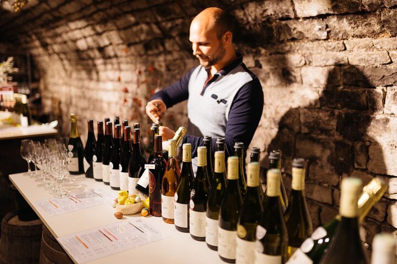 Degustazione privata di vini della Borgogna a Saint Bris Le Vineux