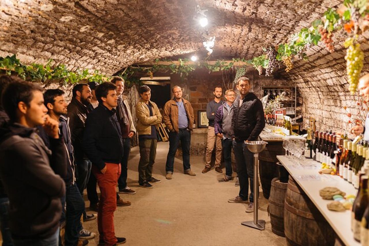 Degustazione privata di vini della Borgogna a Saint Bris Le Vineux — 2