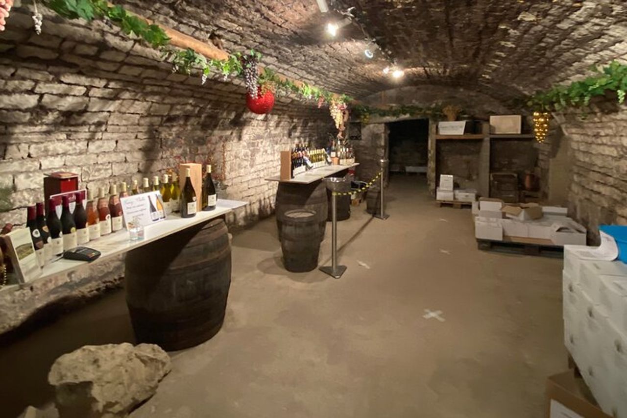 Degustazione privata di vini della Borgogna a Saint Bris Le Vineux — 4