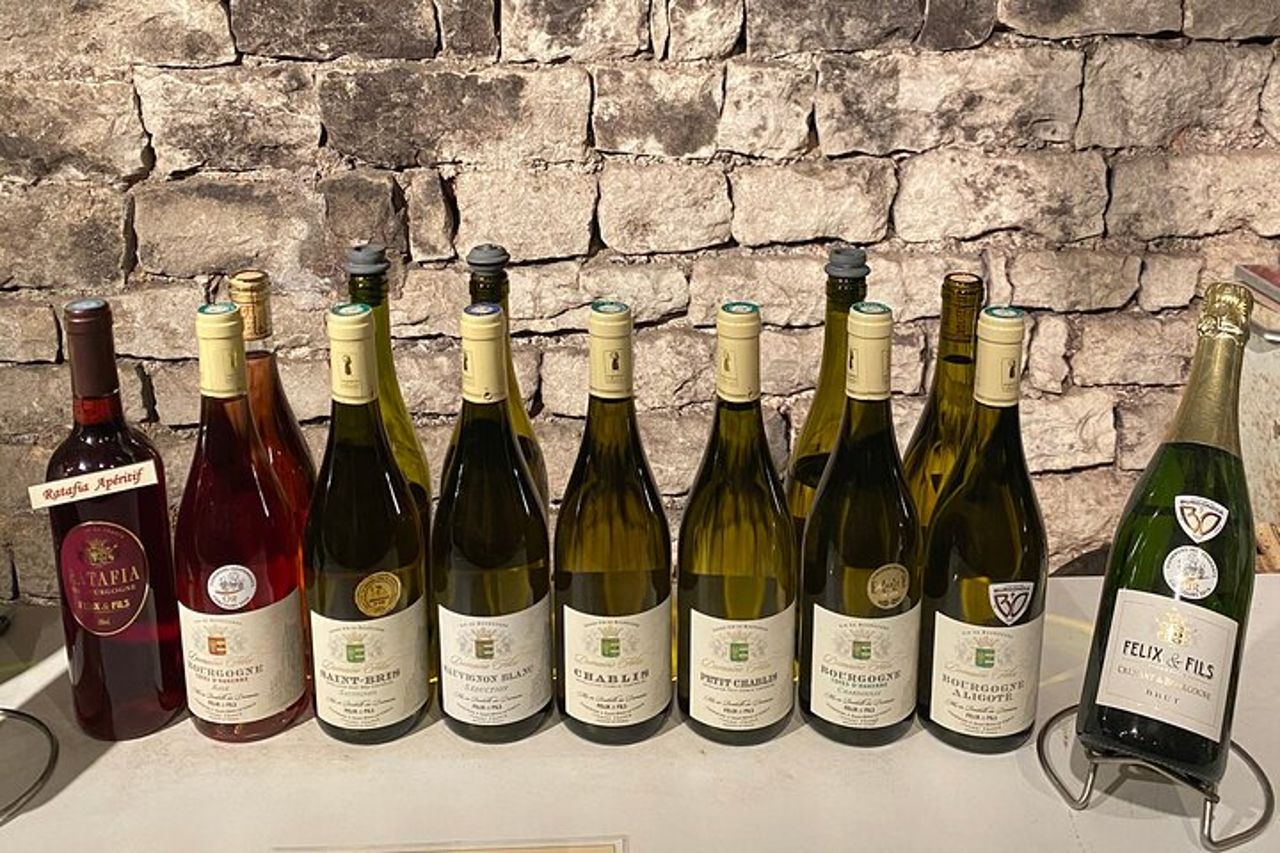 Degustazione privata di vini della Borgogna a Saint Bris Le Vineux — 5