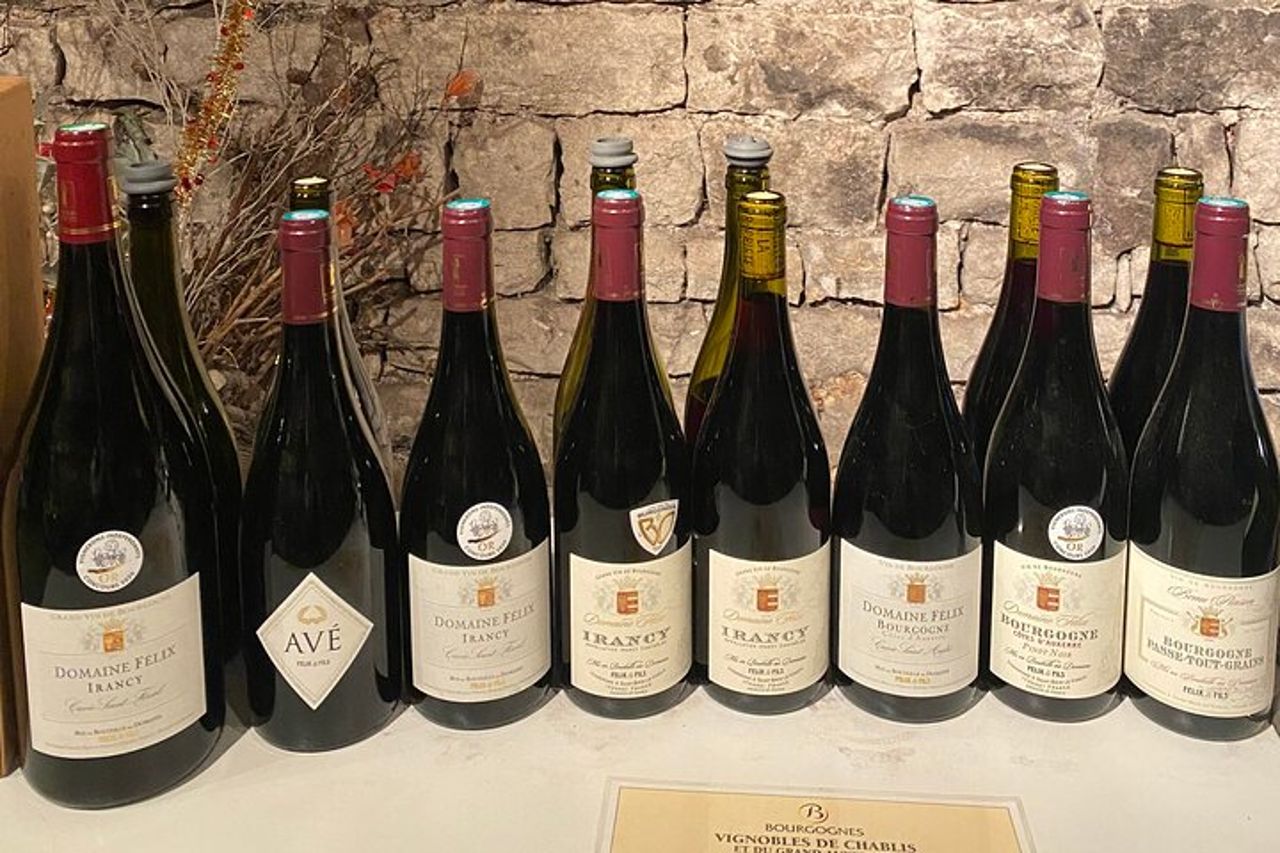 Degustazione privata di vini della Borgogna a Saint Bris Le Vineux — 6