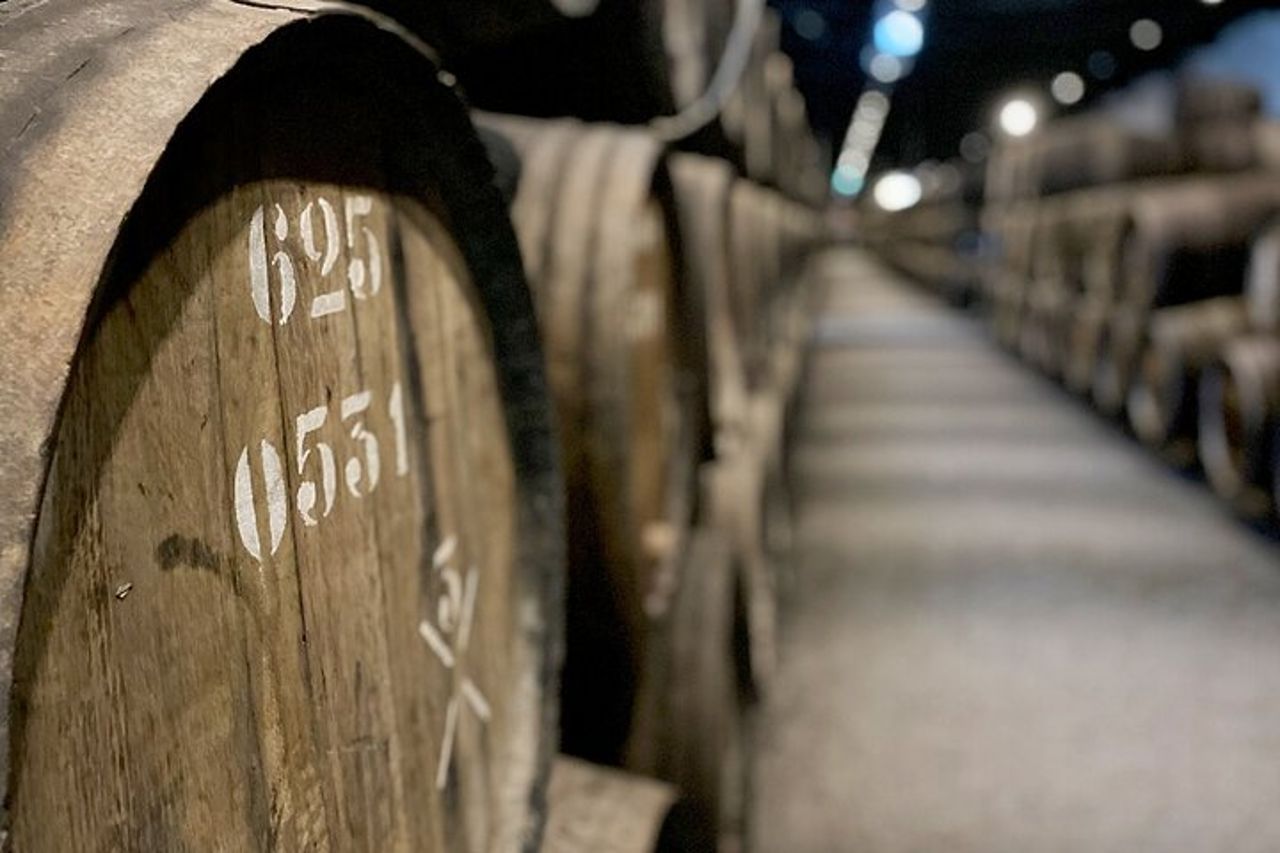 Degustazione di vini con tour a piedi di tapas a Porto — 4