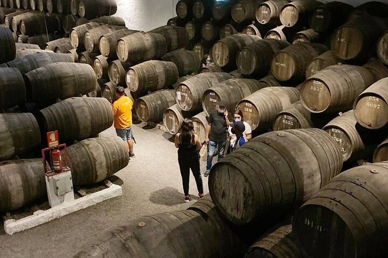Degustazione di vini con tour a piedi di tapas a Porto — 5