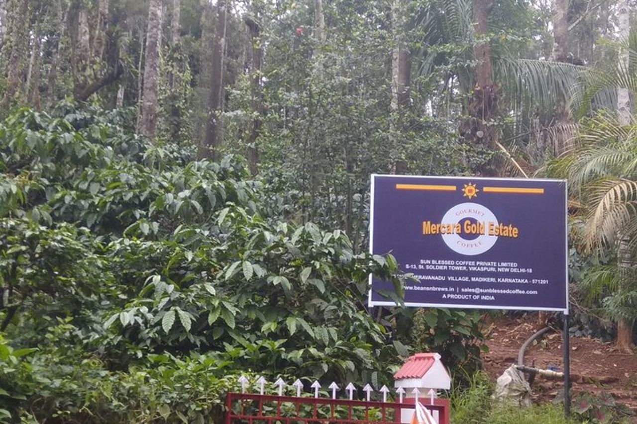 Tour della tenuta del caffè e delle spezie Mercara Gold Coorg — 4