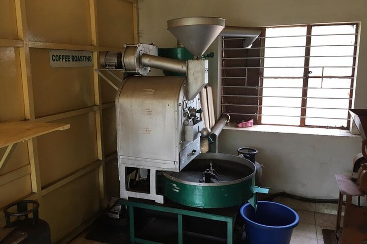 Tour della tenuta del caffè e delle spezie Mercara Gold Coorg — 7