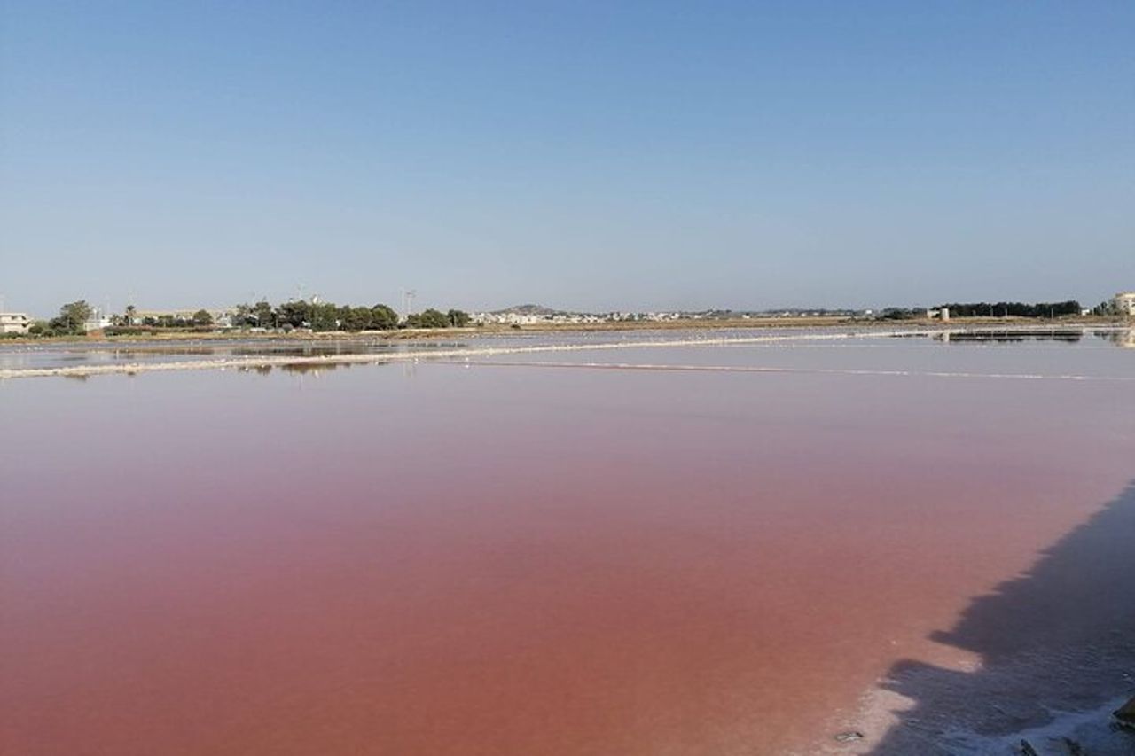 Tour Delle Saline Al Pomeriggio — 7