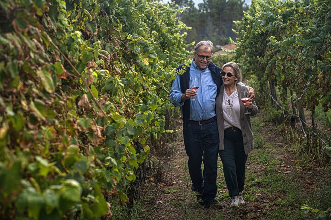 Degustazione di identità | Quinta de Santa Cristina Vinho Verde — 7