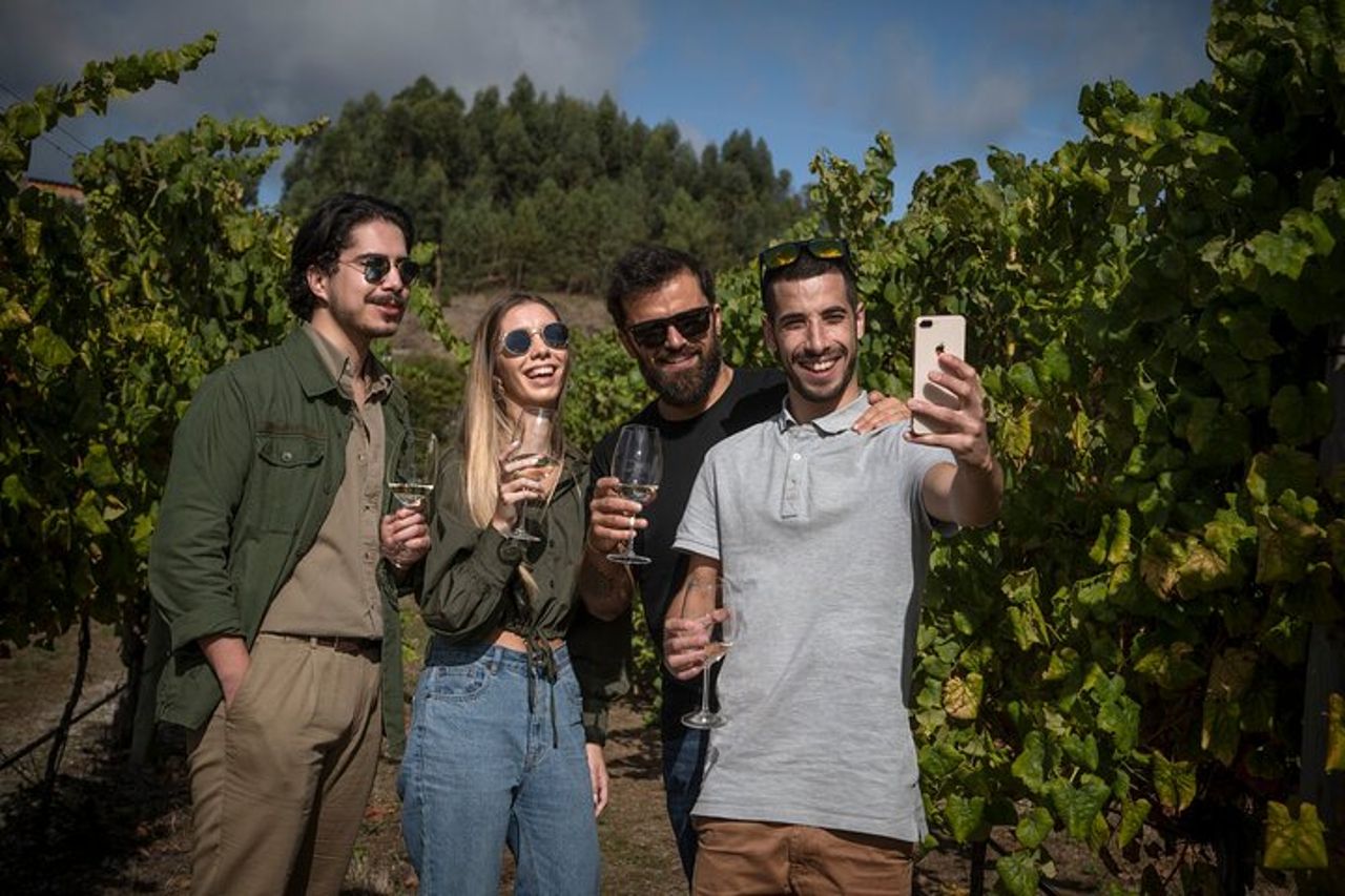 Degustazione di identità | Quinta de Santa Cristina Vinho Verde — 3