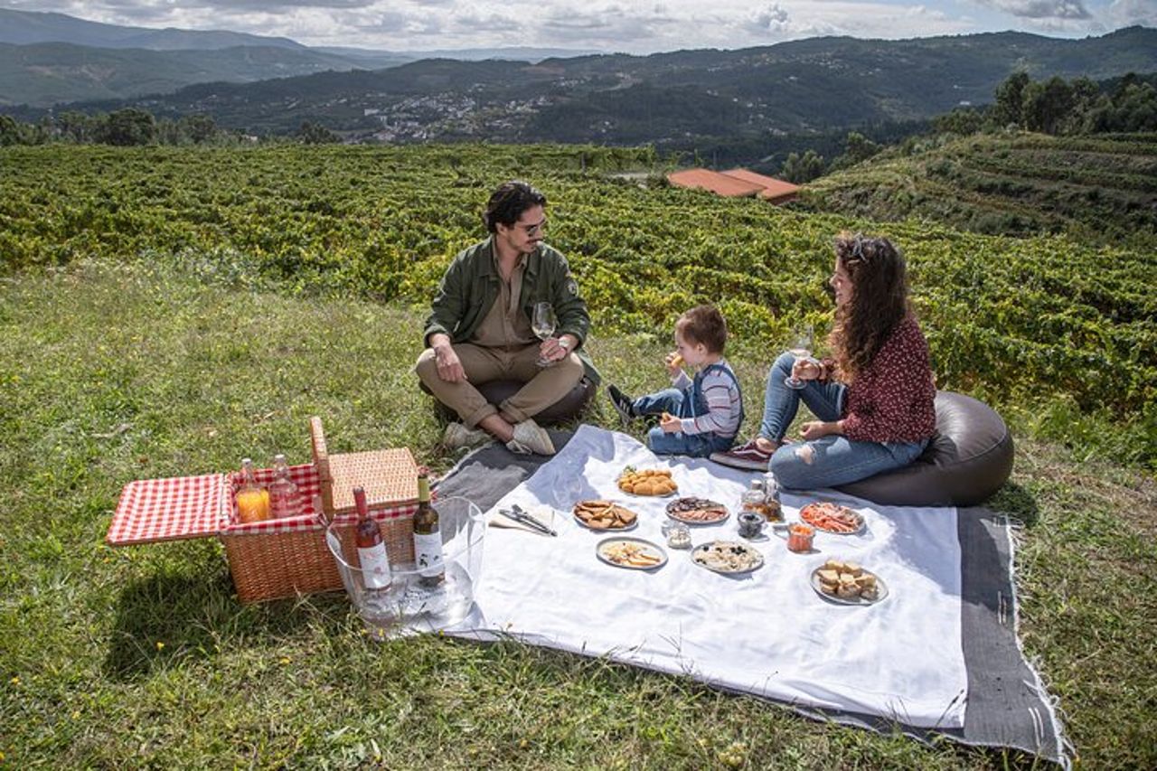 Degustazione di vini e pranzo | Quinta de Santa Cristina Vinho Verde — 2