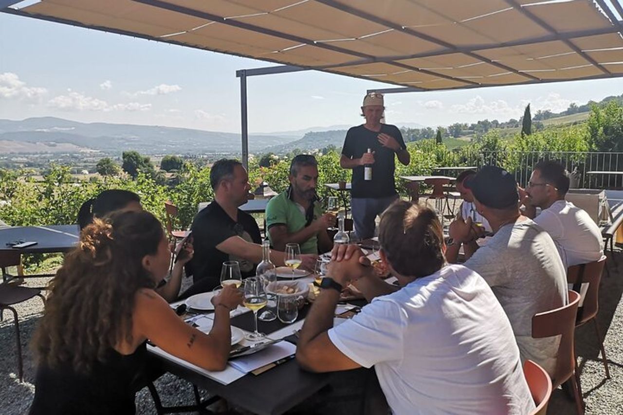 Unica EnoBike experience con degustazione in 2 eccellenti cantine — 8