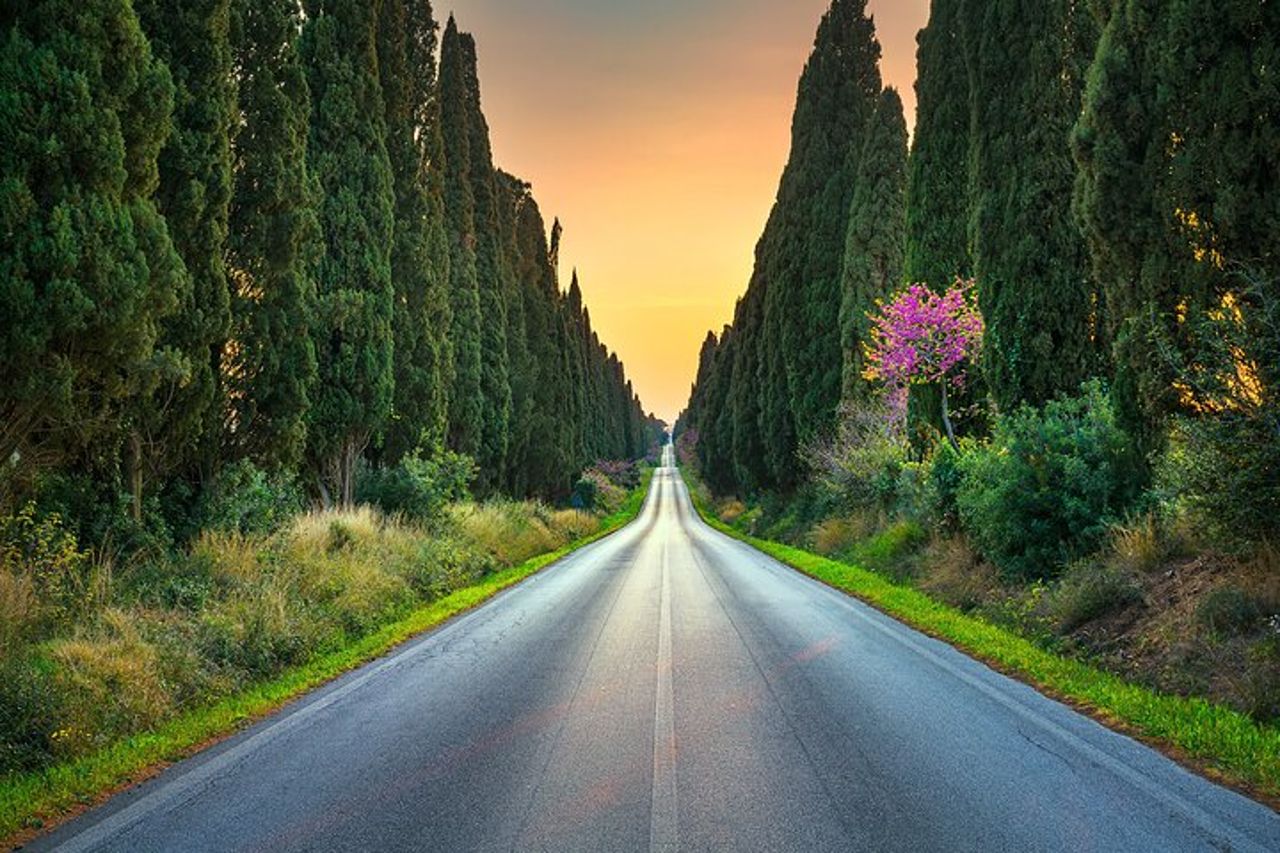 Tour privato personalizzabile di un'intera giornata a Bolgheri da Firenze — 7