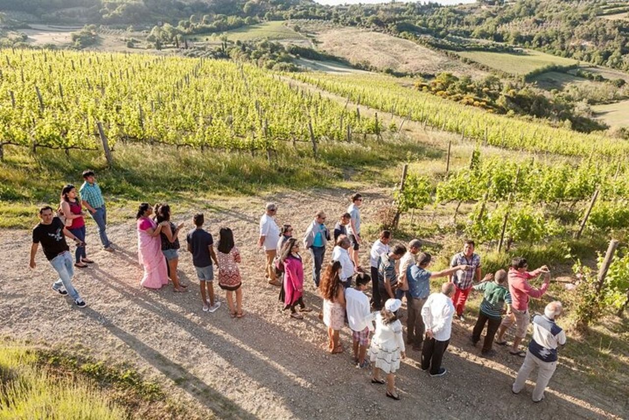Vino Nobile Wine Tour in Montepulciano