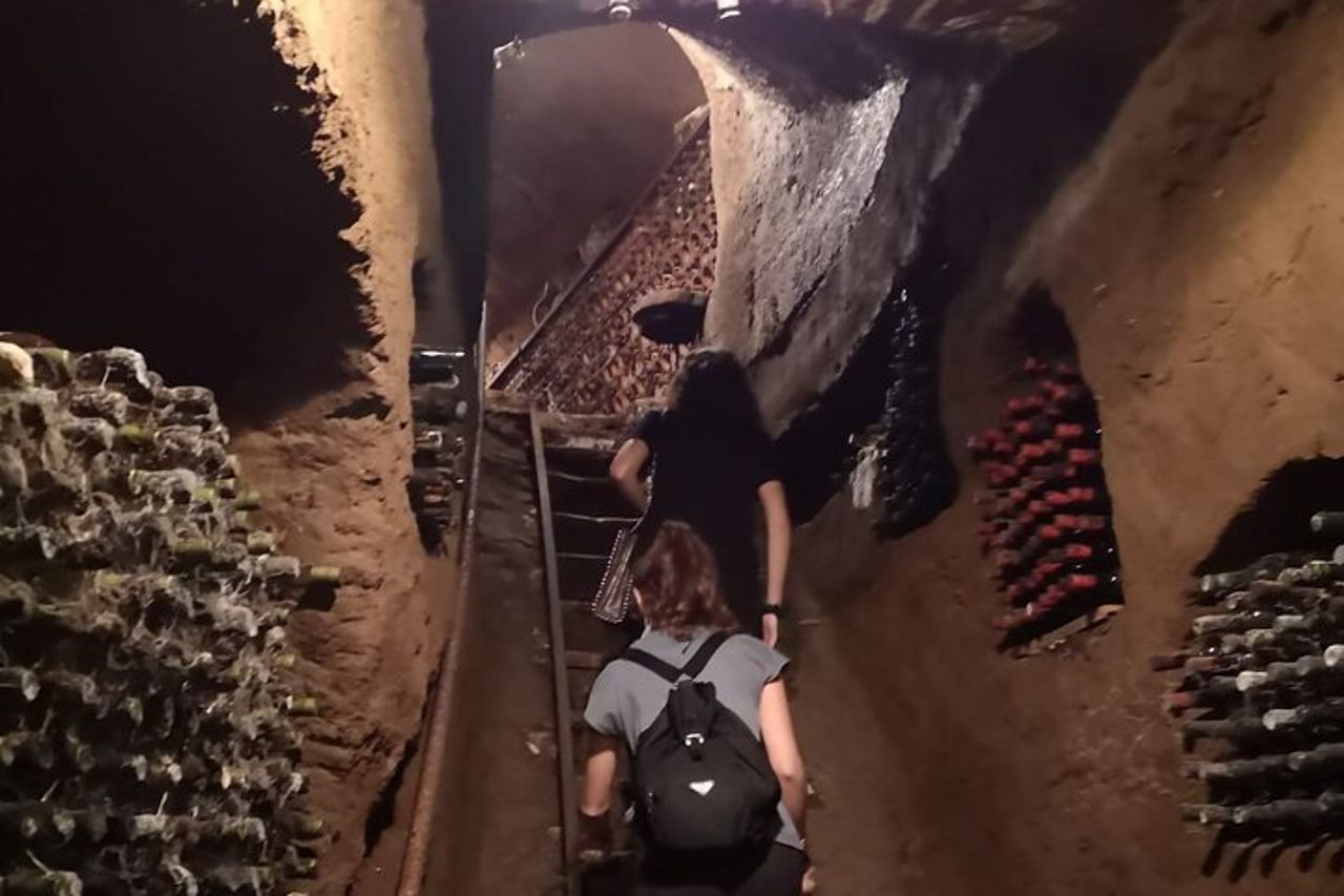 Unica EnoBike experience con degustazione in 2 eccellenti cantine — 7