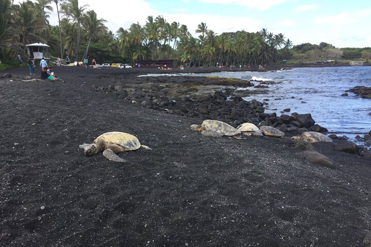 Kilauea Summit to Shore from Kona: Small Group — 5