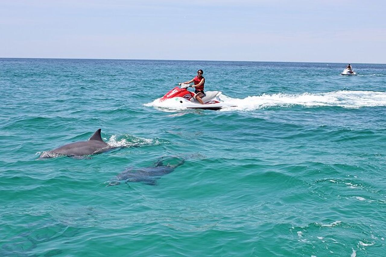 Crab Island Dolphin Jet Ski Adventure — 3
