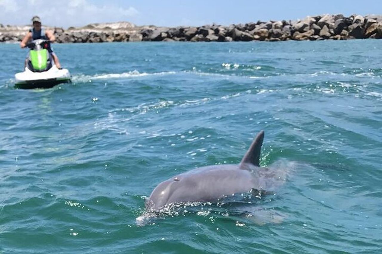 Crab Island Dolphin Jet Ski Adventure — 2