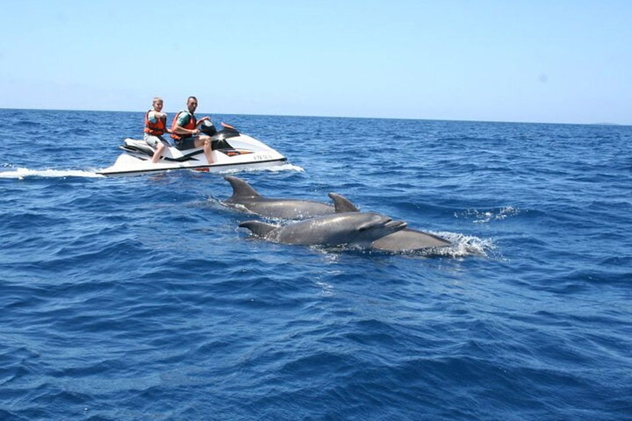 Crab Island Dolphin Jet Ski Adventure — 5