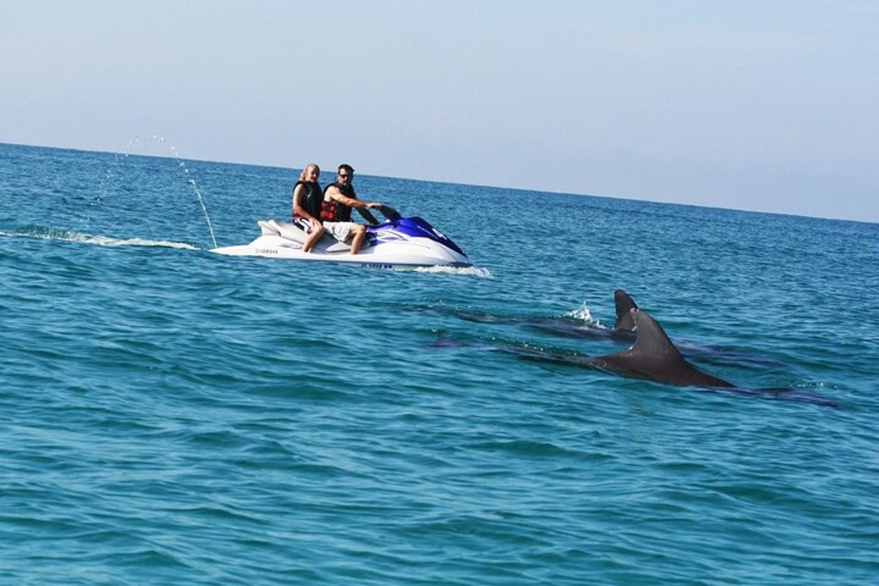 Crab Island Dolphin Jet Ski Adventure — 9