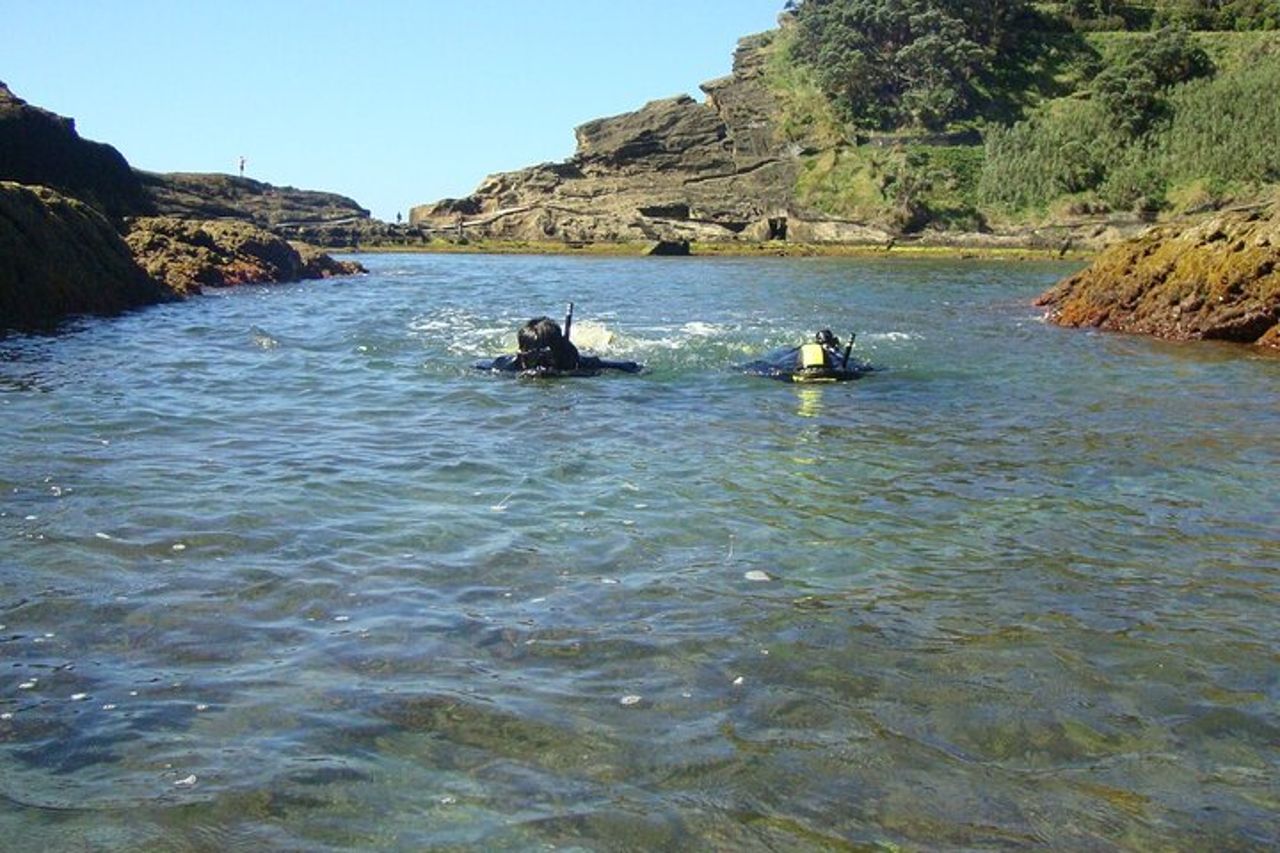 Snorkeling a Vila Franca do Campo — 5