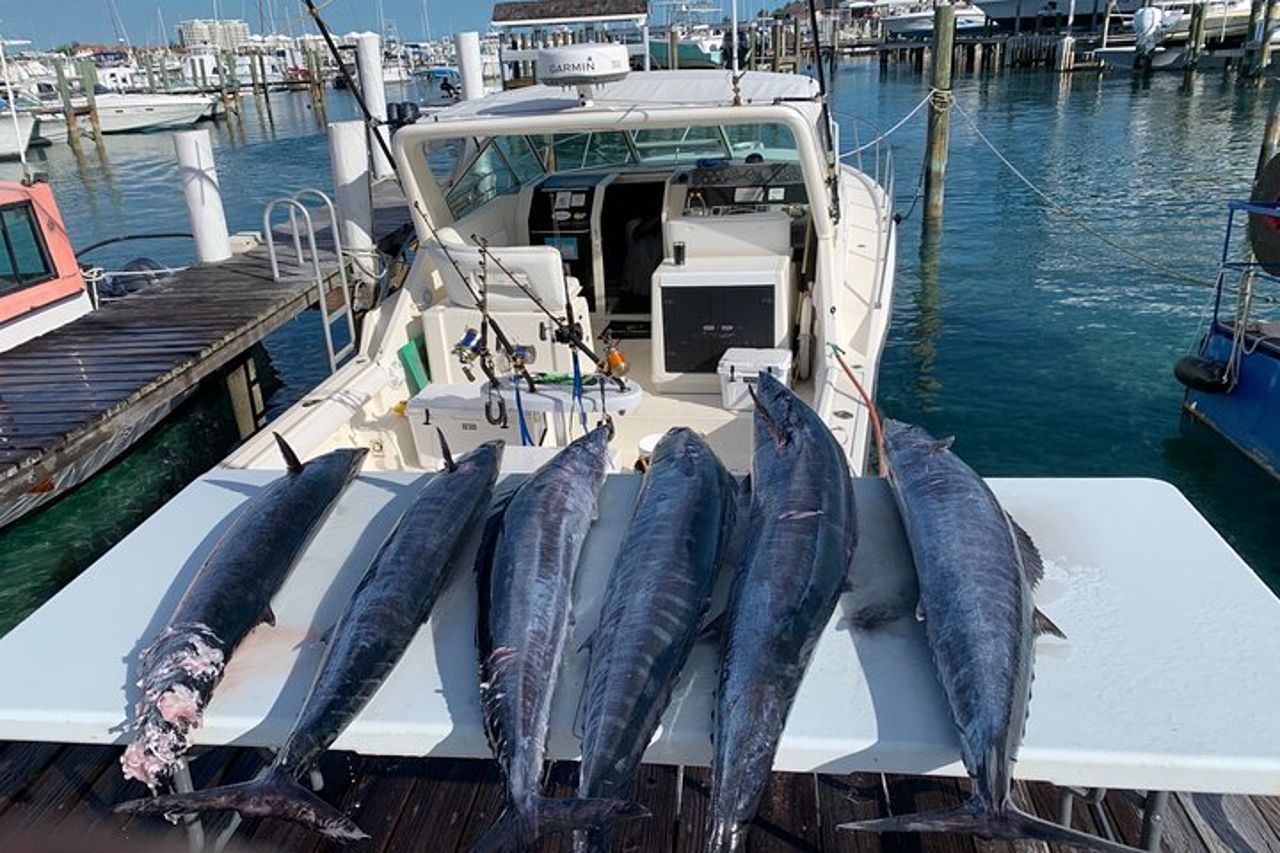 8 ore 38 piedi Reel Dreams Private Charter Nassau — 5