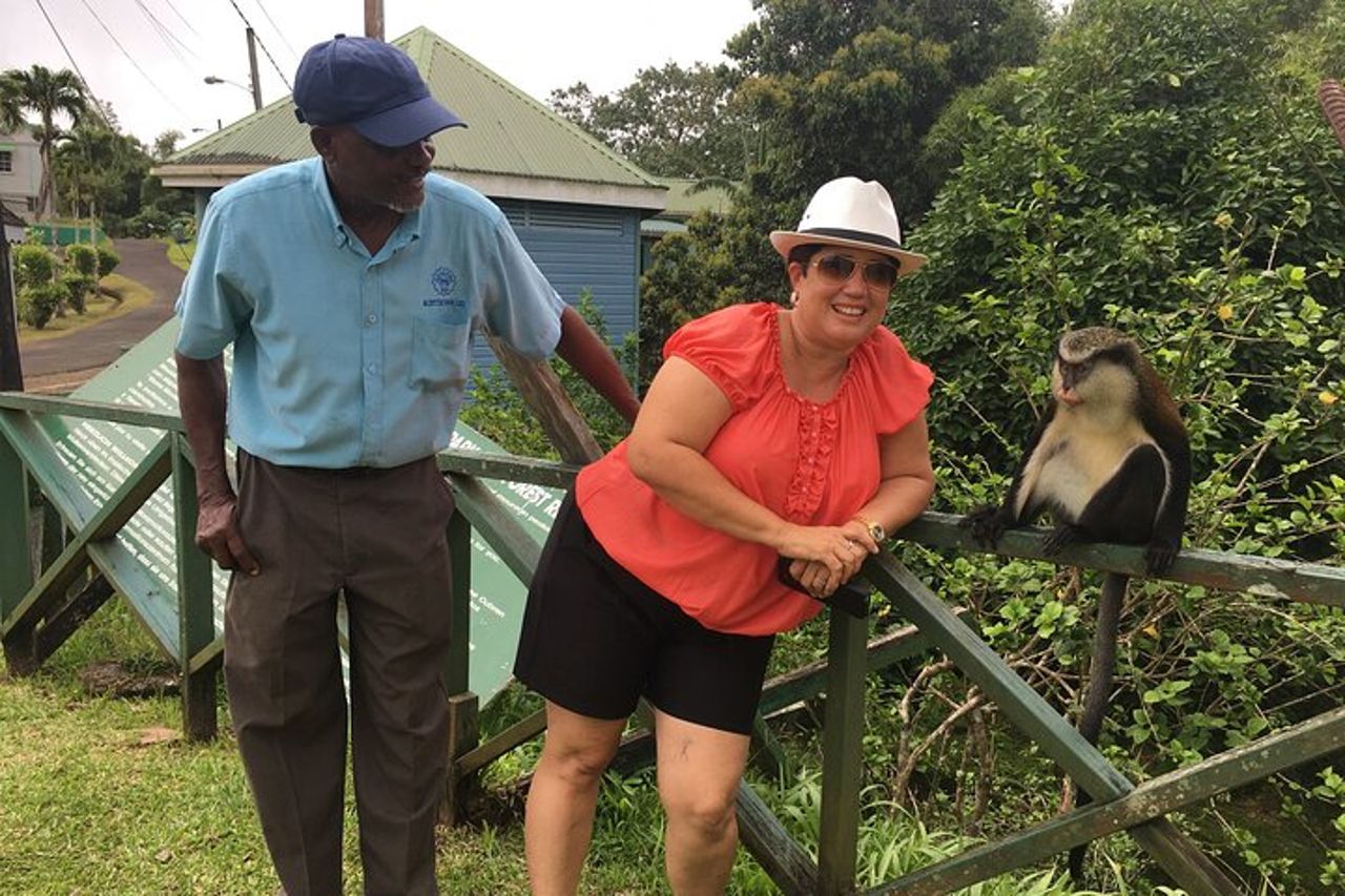 Grenada in a Nutshell - Deluxe Island Tour — 2