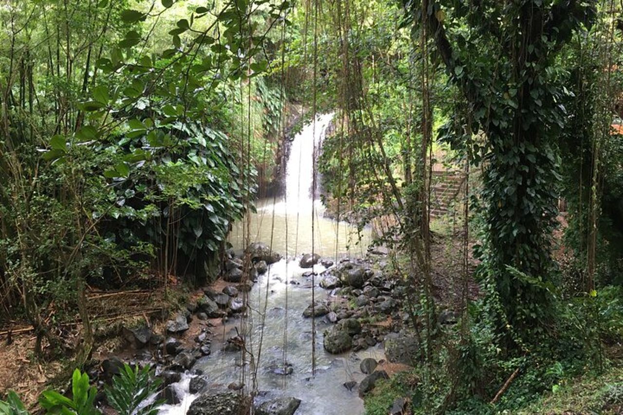 Grenada in a Nutshell - Deluxe Island Tour