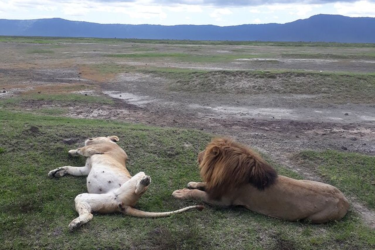 Gita di un giorno al cratere di Ngorongoro — 3