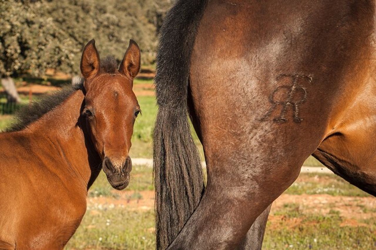 Visita en exclusiva con los 5 sentidos — 4