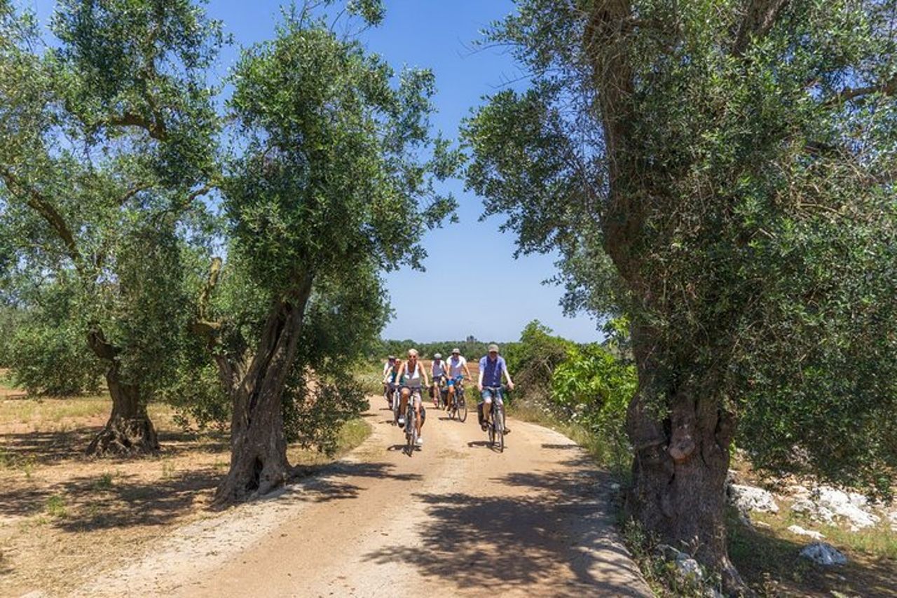Entroterra di Gallipoli e Dintorni: Escursione di un Giorno in Bici — 2