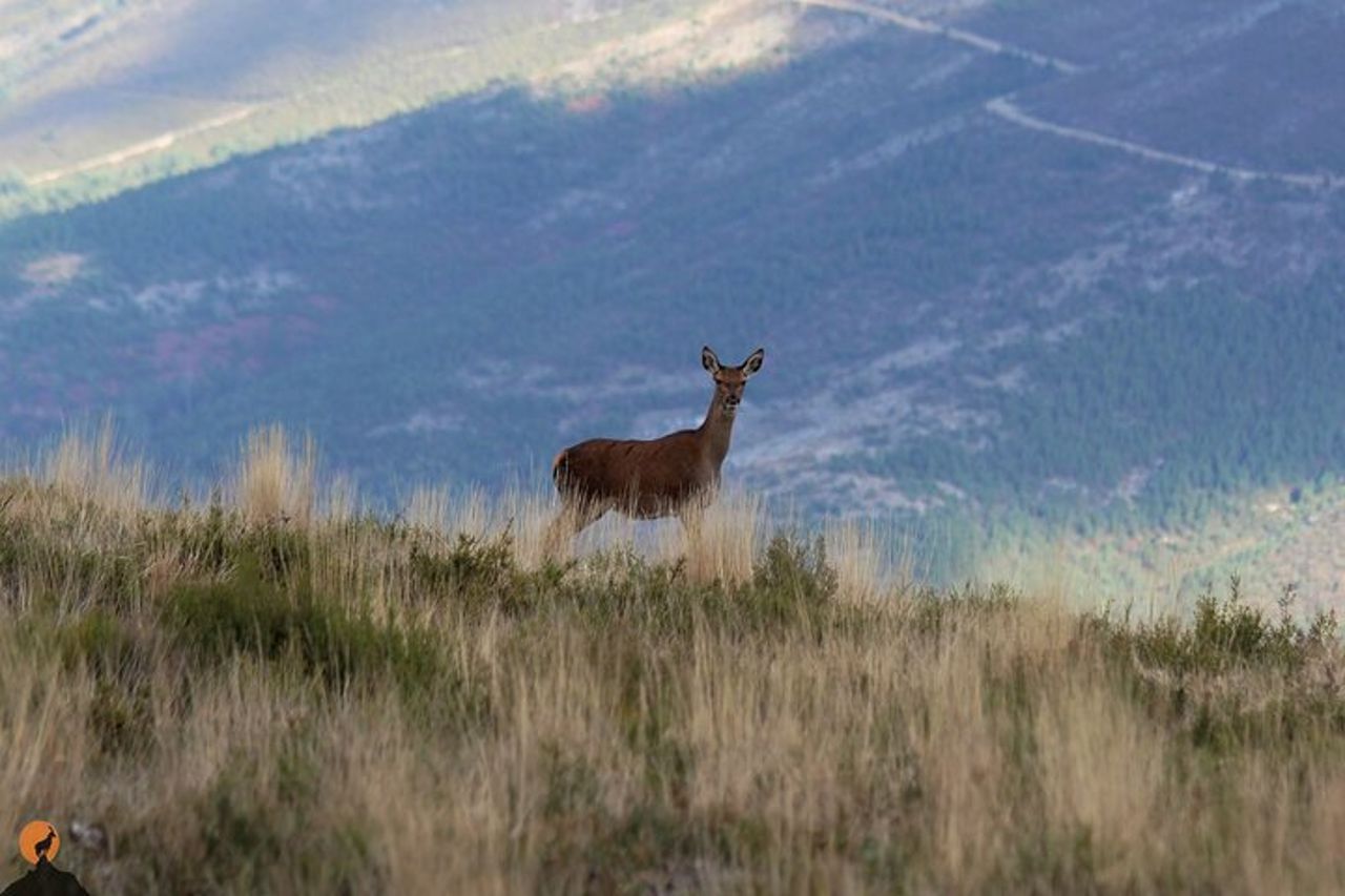 Alla scoperta della natura a Serra da Lousã — 8