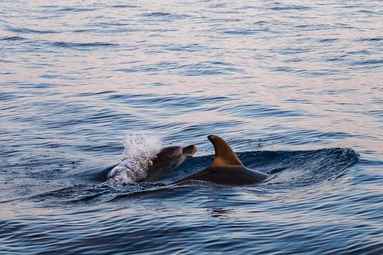Cinque Terre Sunset Boat Tour Experience — 3
