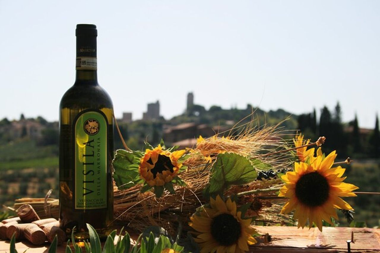Degustazione di vini e oli EVO con pranzo toscano — 2