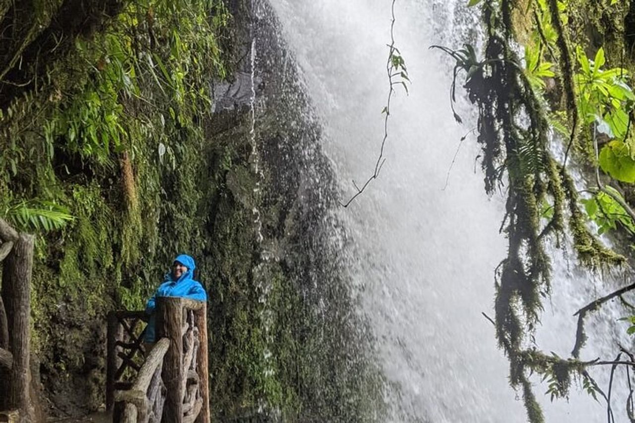 Tour privato del vulcano Poas e dei giardini delle cascate di La Paz