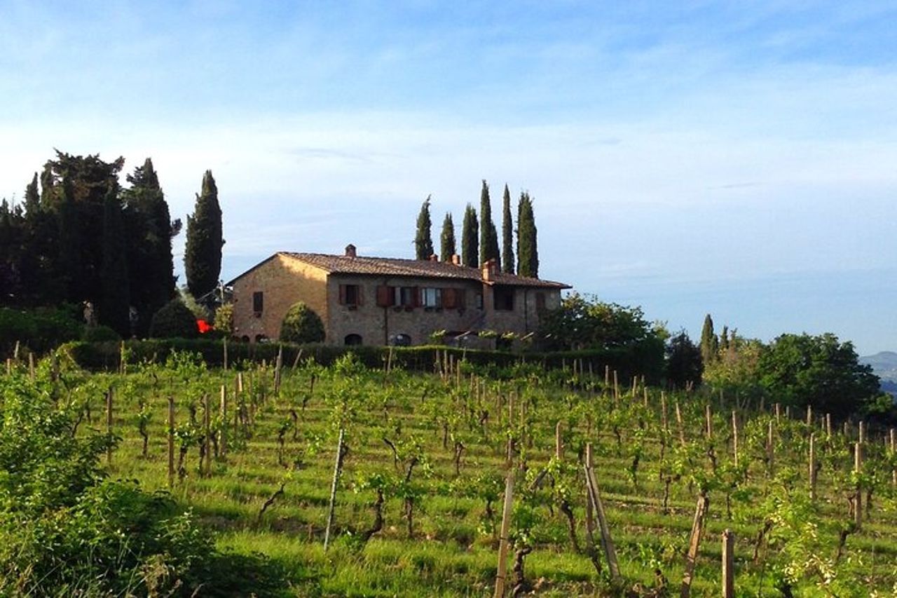Degustazione di Vino, Olio e Aceto a San Gimignano — 9