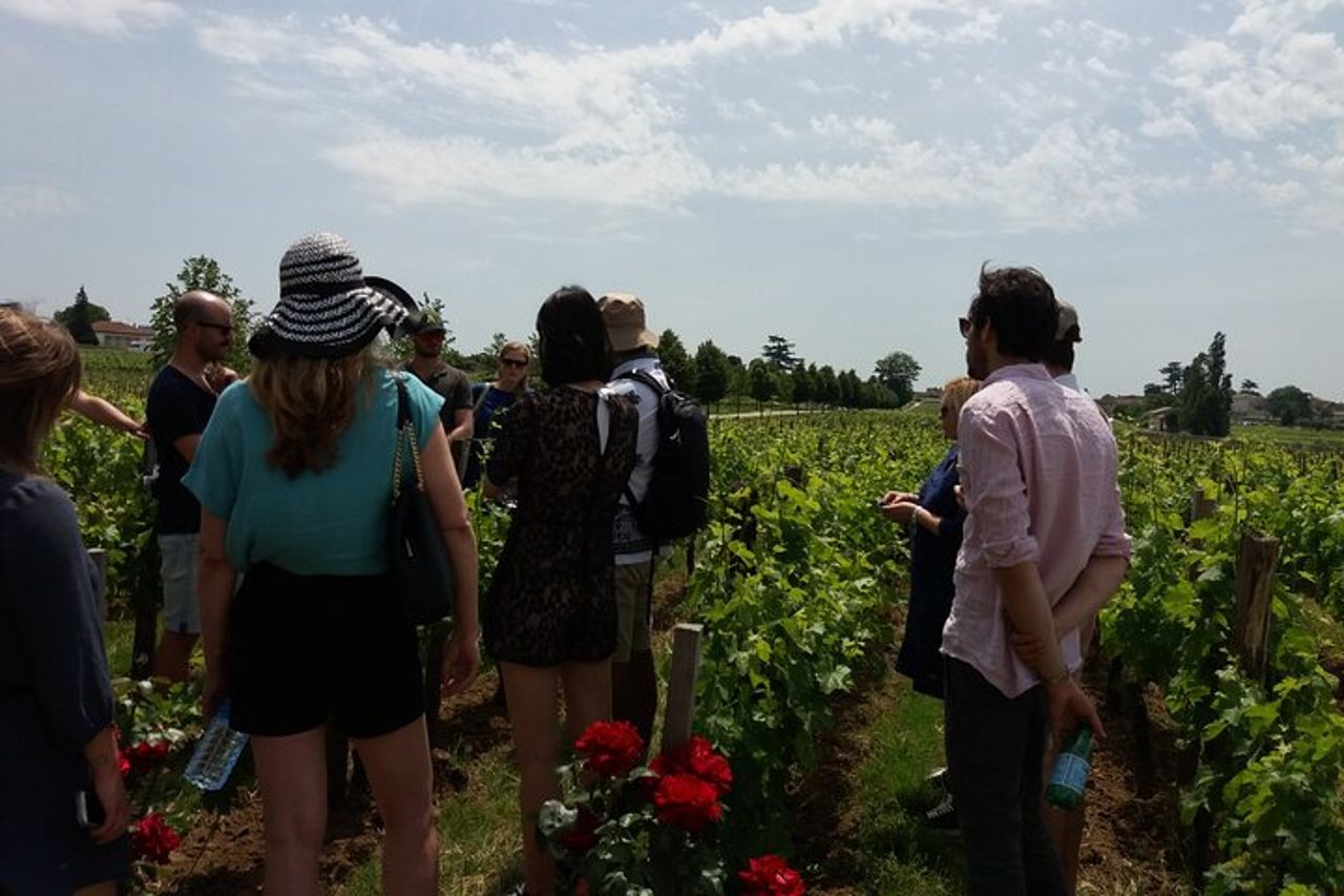 Saint Emilion Wine Tour Degustazione Mezza giornata da Bordeaux — 2